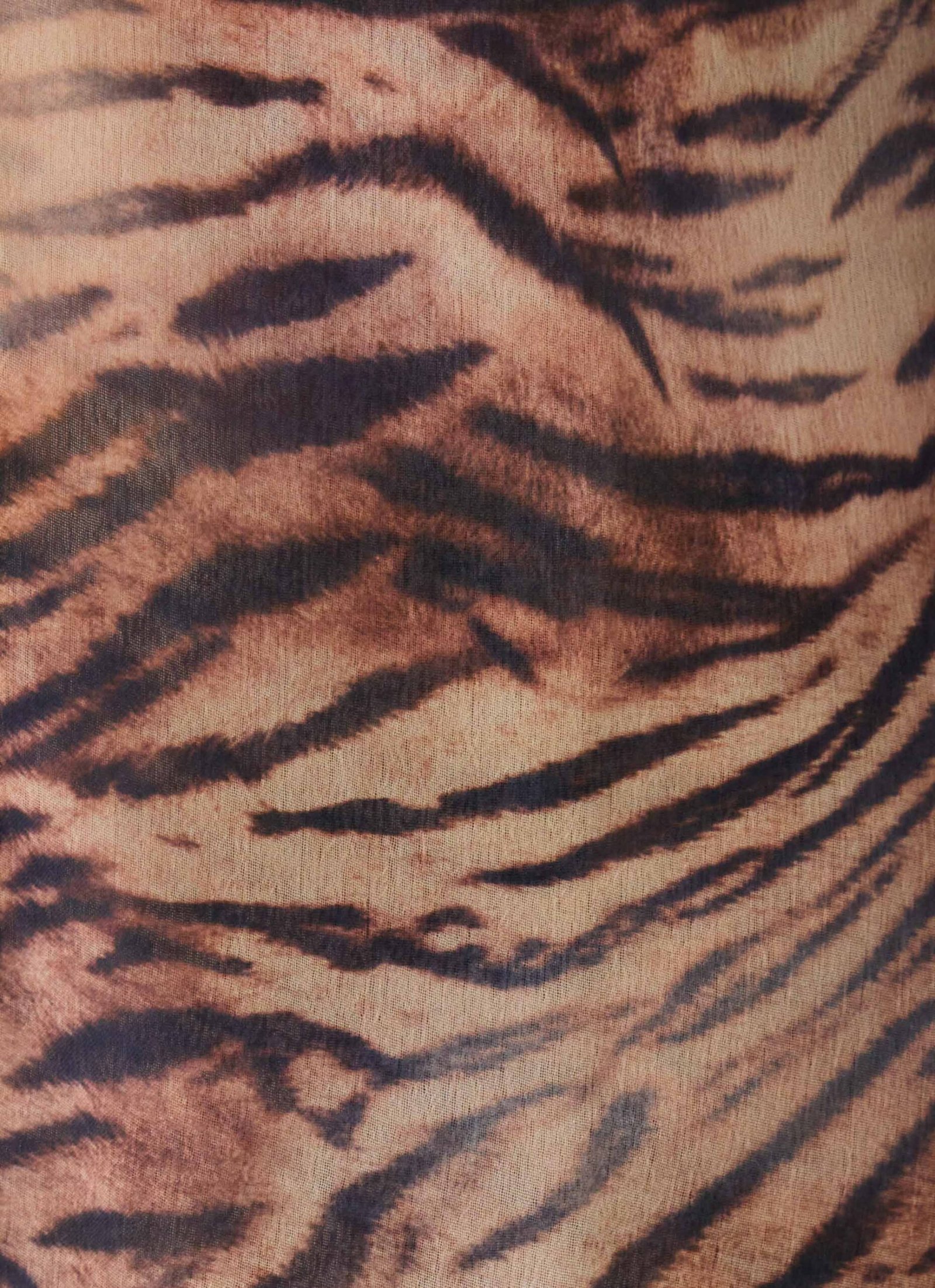 Chaty Top - Golden Tiger - Image 6
